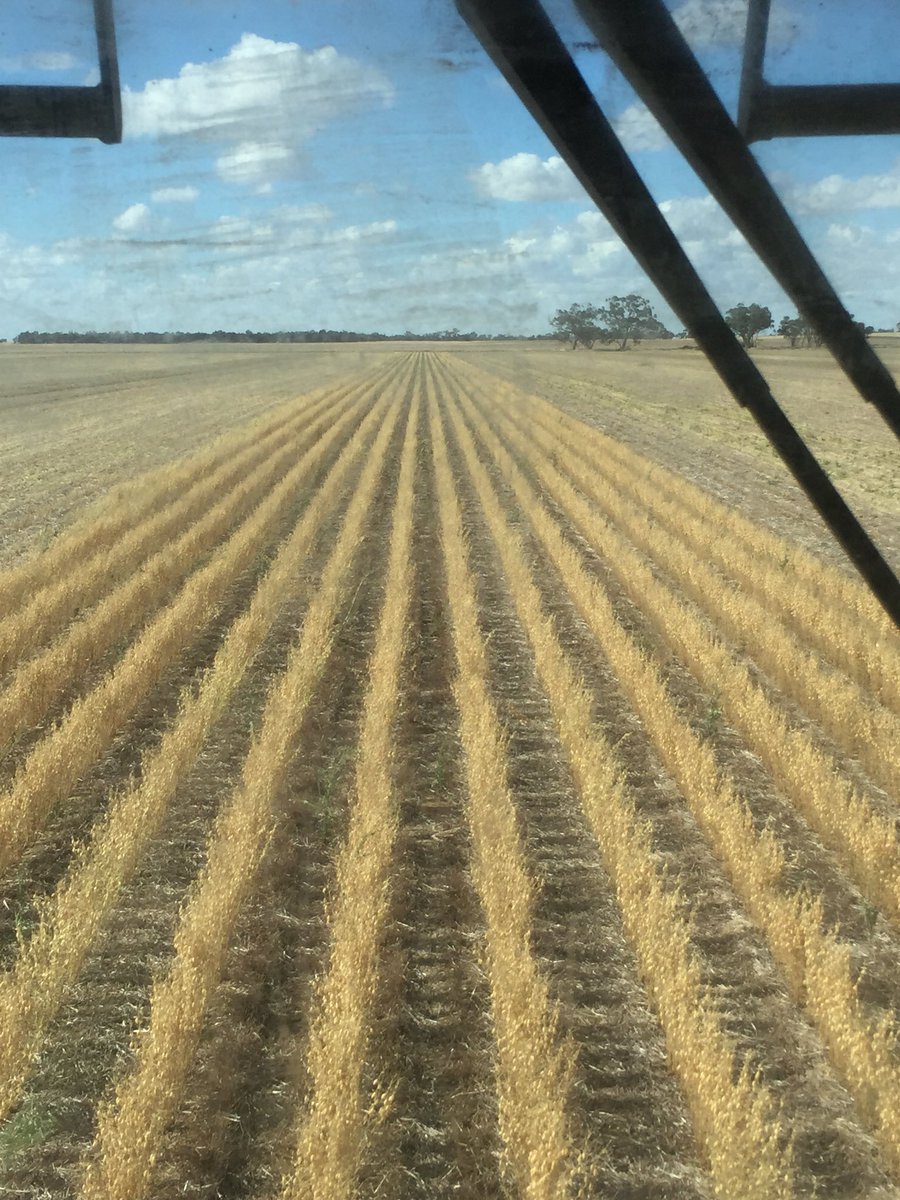 jwjaarnold's tweet photo. Last pass in Kabuli chickpeas.   Finished up 2 harvests in 2017. 2nd @ normal time https://t.co/GvjLvTX2V1