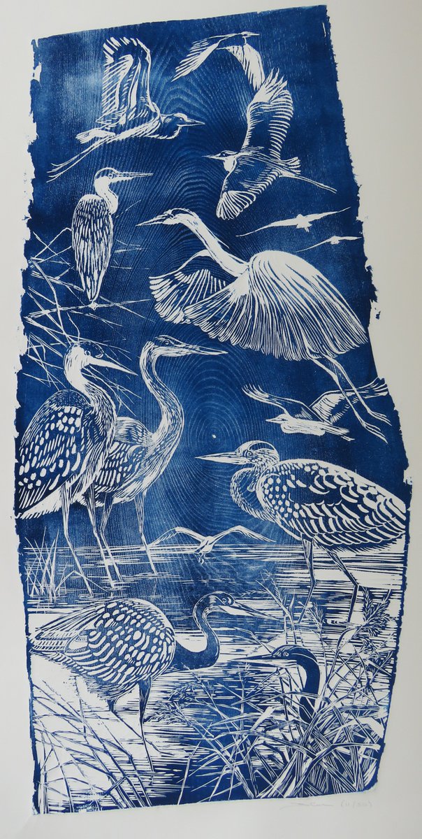 Last few days of our joint Somerset Levels Printmaking Exhibition exhibition <a href="/4everycloud/">Donna Vale</a> in Langport. Finishes Saturday afternoon
