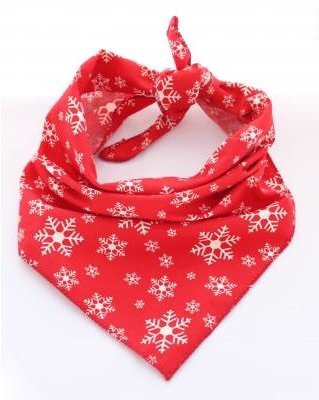 JollyBeas's tweet photo. Fabulous Christmas Snowflake Dog Bandana! ๐ถโ๏ธโค๏ธ #dog #dogs #dogsofig #dogsofinsta #dogsofinstaworld #dogbandana #christmas #dogfashion #streetstyledogs #festive #pooch #hound #furbaby #puppies #pup #puppiesofinstagram #ilovemydog #woof #merrychristmas https://t.co/mmzZHZTzO9