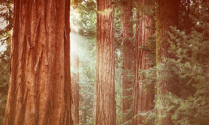 neilpatel's tweet photo. 9 Evergreen Link Building Tactics that Will Never Go Out of Style https://t.co/h6Ne4xsU2c #linkbuilding #seo https://t.co/eU9284K0Zo