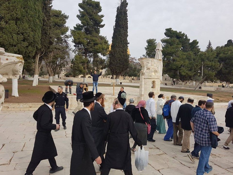qudsn's tweet photo. جانب من اقتحامات المستوطنين للمسجد الأقصى المبارك، منذ صباح اليوم. https://t.co/hJaqlCj0YN