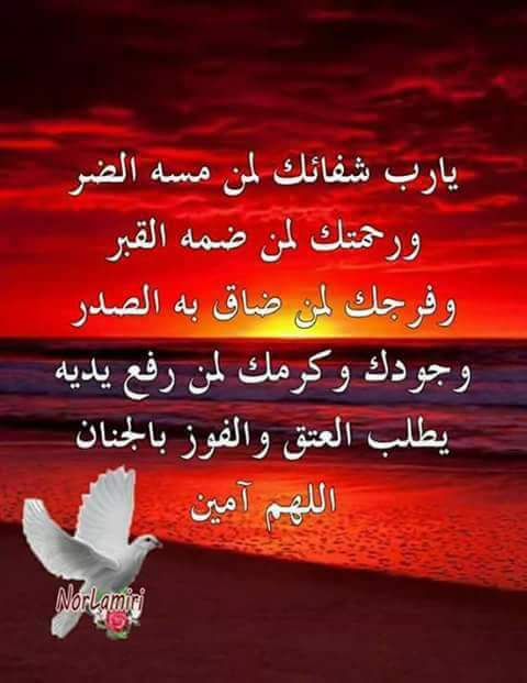 easidsalah's tweet photo. https://t.co/NvLLviYL0T