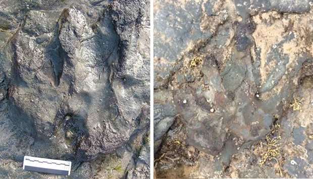 GulfTimes_QATAR's tweet photo. Vandals take hammer to ancient Australia dinosaur footprint
#history #crime #FlatRocks https://t.co/eYBGlnP4Xf https://t.co/cEh3ZiKIOL