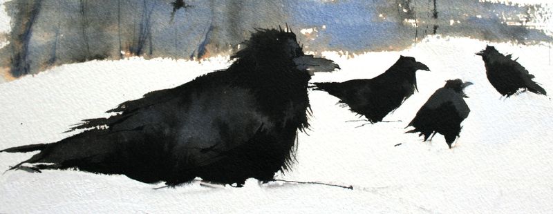 rooks in the snow | kate osborne #thedarkisreading