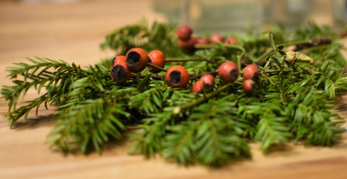 Wir wünschen Ihnen frohe Weihnachten, erholsame Feiertage und einen guten Start in das neue Jahr! #SaxessAG #weihnachten2017
