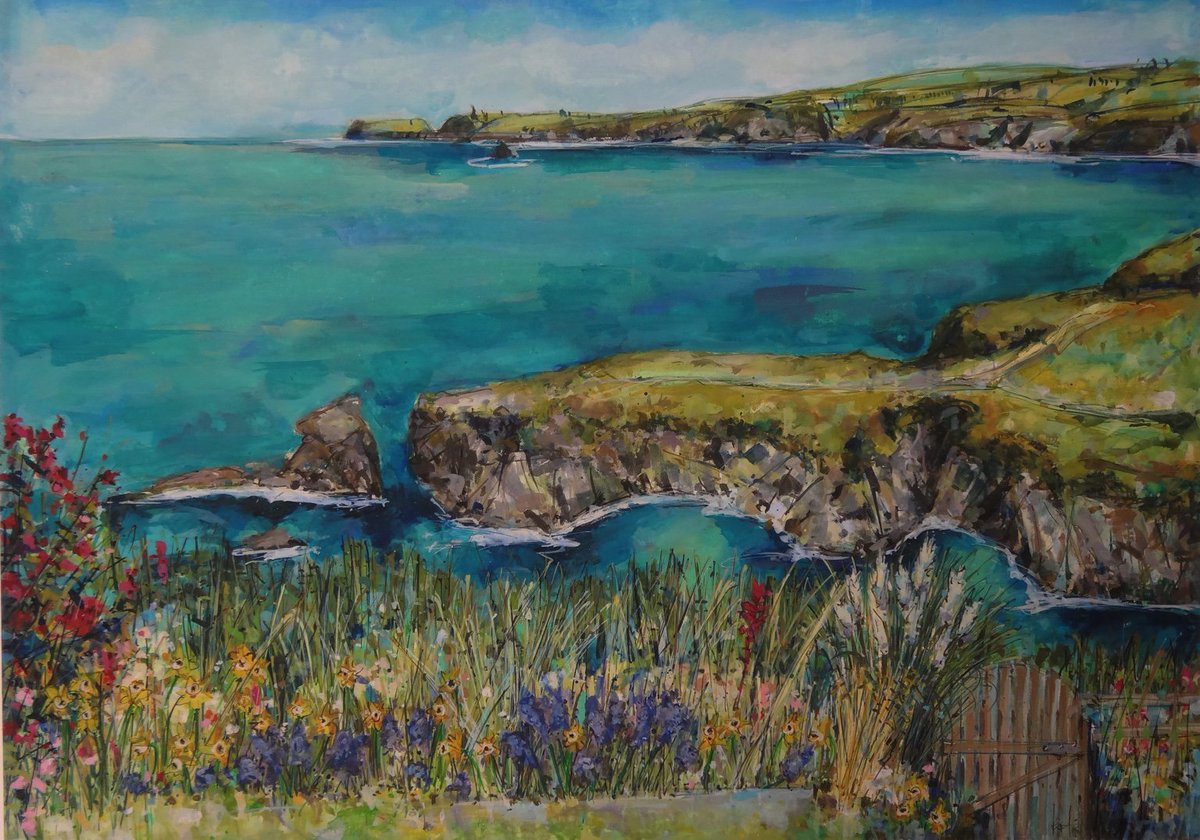 CliffsideKatie's tweet photo. Pea soup this morning, so a pic of sunnier days and one of my favourite garden commissions #PortIsaacBay #helluvaview https://t.co/qbfz0e1EHk