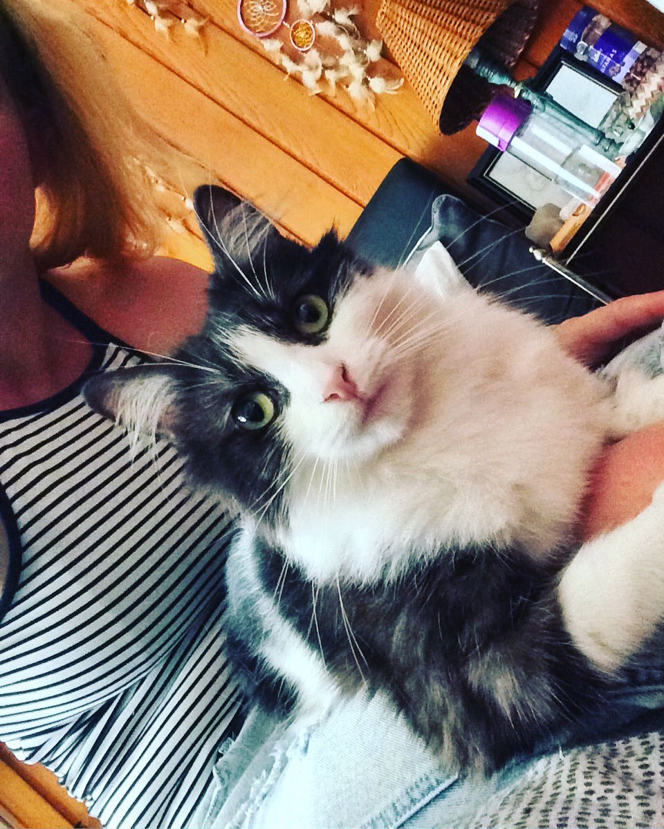 lbff17's tweet image. Dinah ❤️