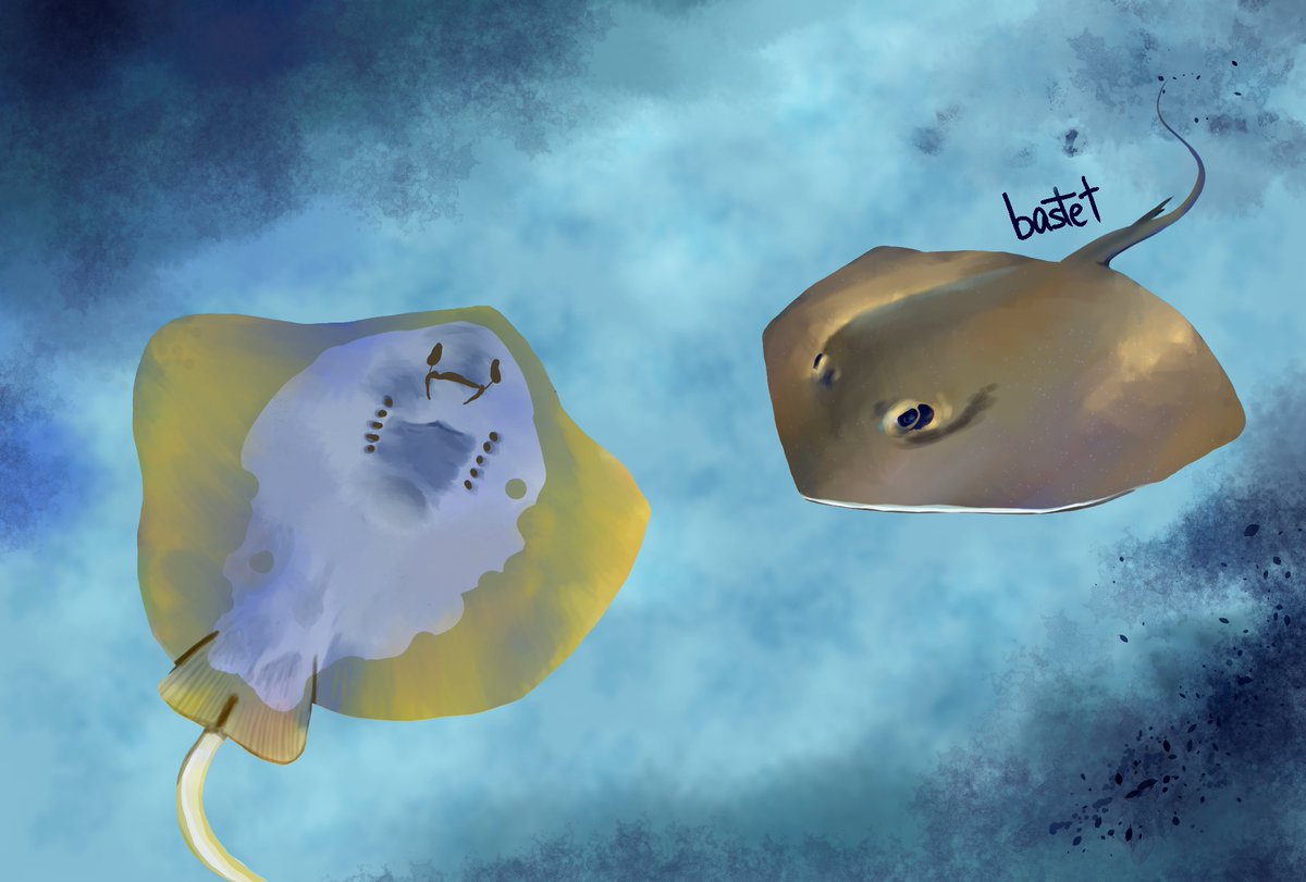 みんなで毒を持つ魚を描こうの会