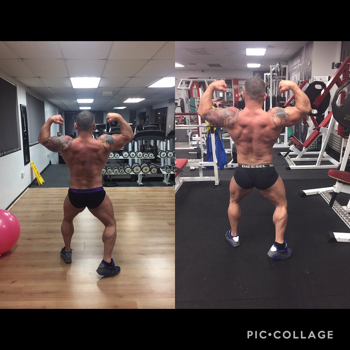 MughalLee's tweet photo. Online coaching available pictures taken six weeks apart #EvolutionGym https://t.co/J3FLSih5ZL