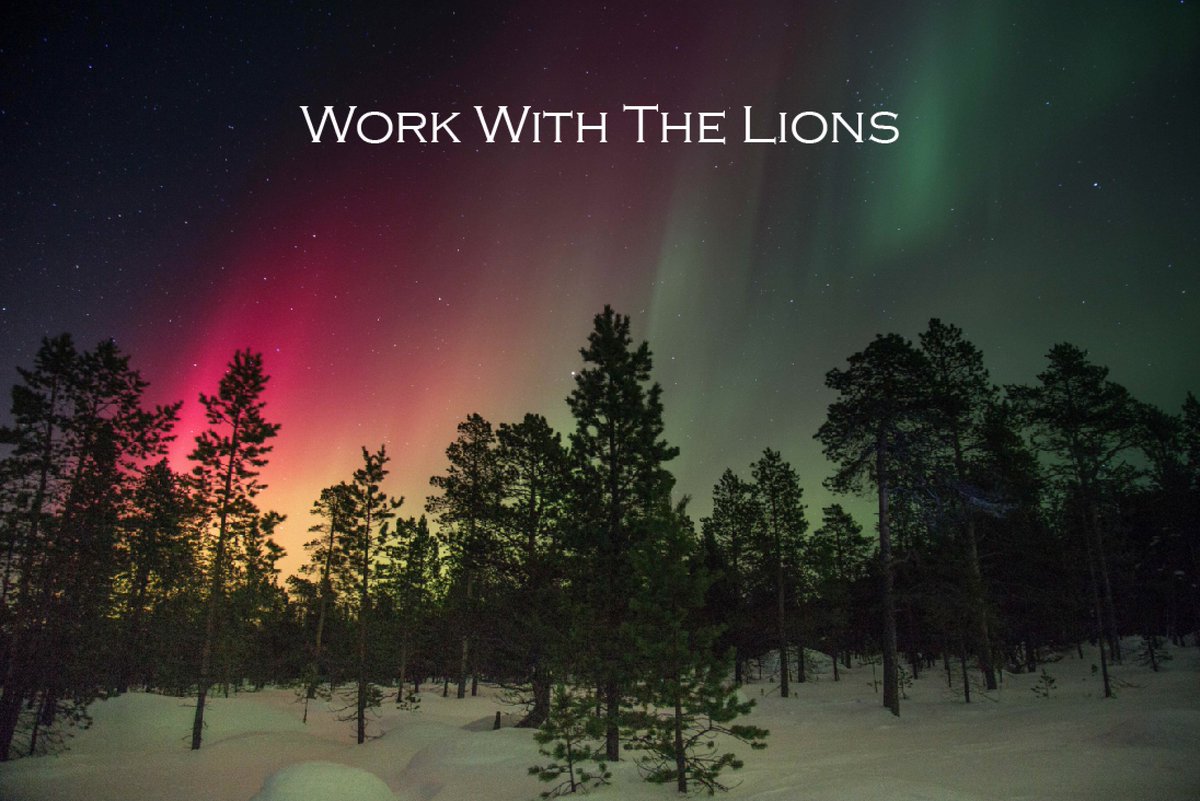 #WorkWithTheLions Contact us today and get yourself a brand video. Be seen on social media and boost your business!#SoloLionFilms #CreatingVideos #FilmMaking #AdFilms #BrandVideo #ContentCreation #BoostingBusiness
Visit: sololionfilms.com Write@ bali.sololionfilms@gmail.com