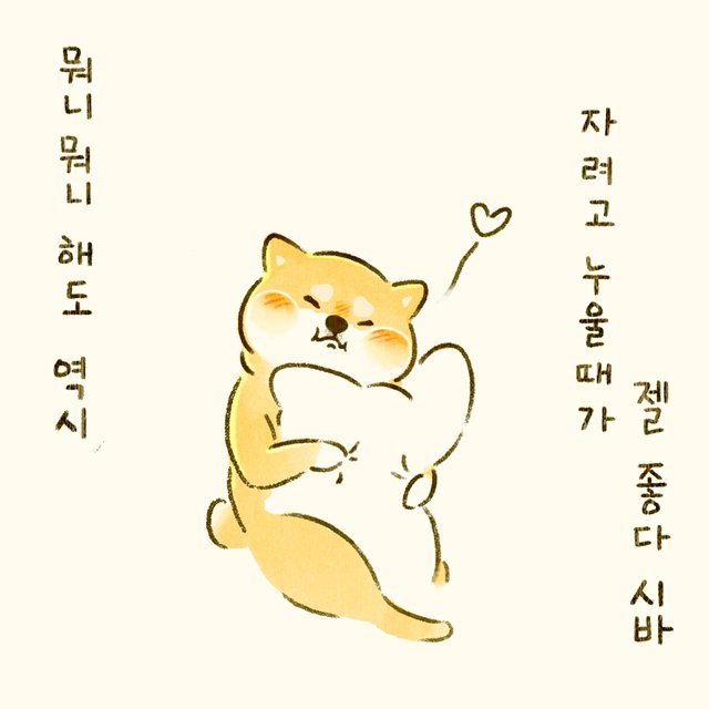 #귀엽시바