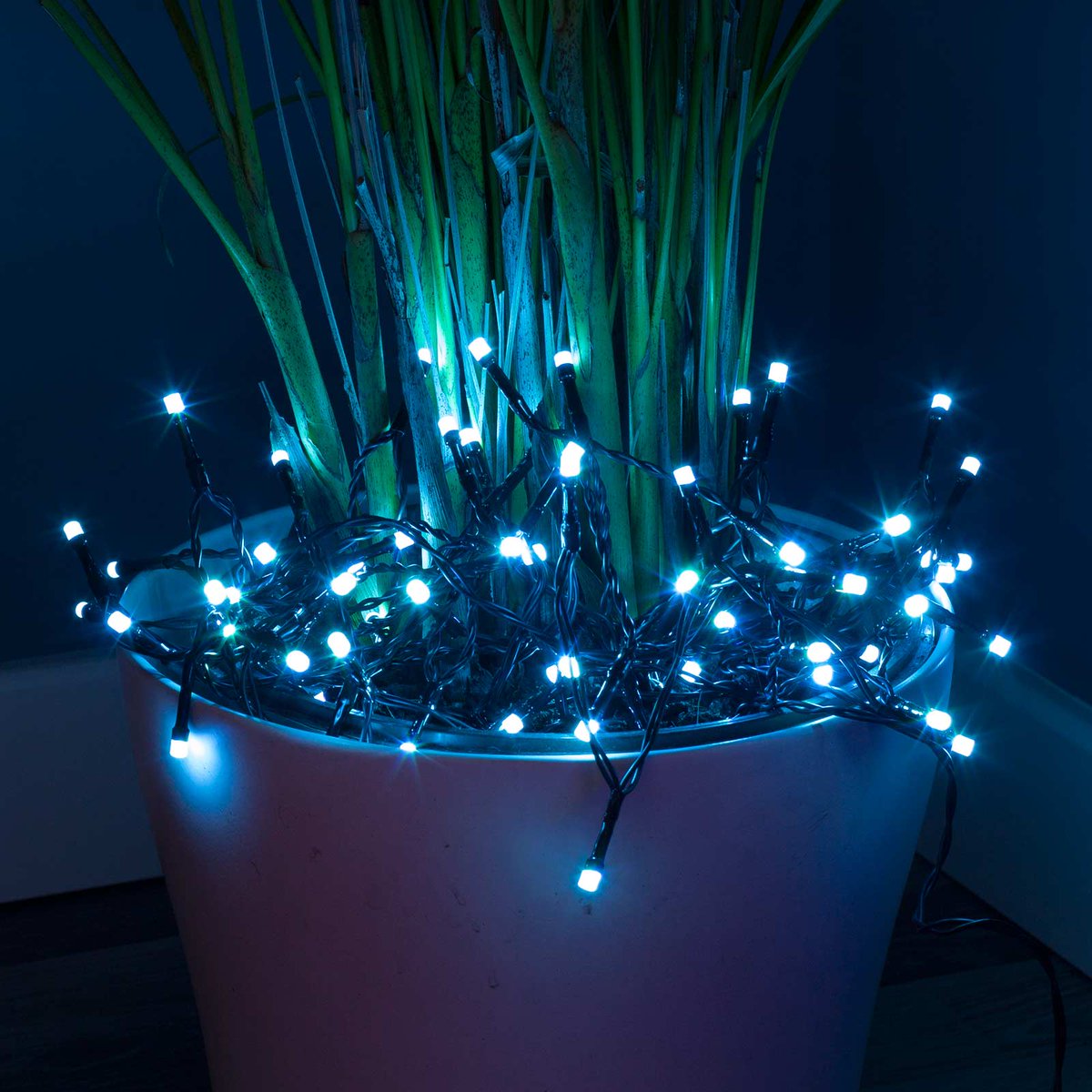 Tomorrow is the last day we're taking orders for Christmas delivery. We have less than 20 White Feathered Trees left. Currently £95.99! #FeatherTree bit.ly/2kl3kWI Christmas Stocking ideas at bit.ly/2j7jNhf #ChristmasLights