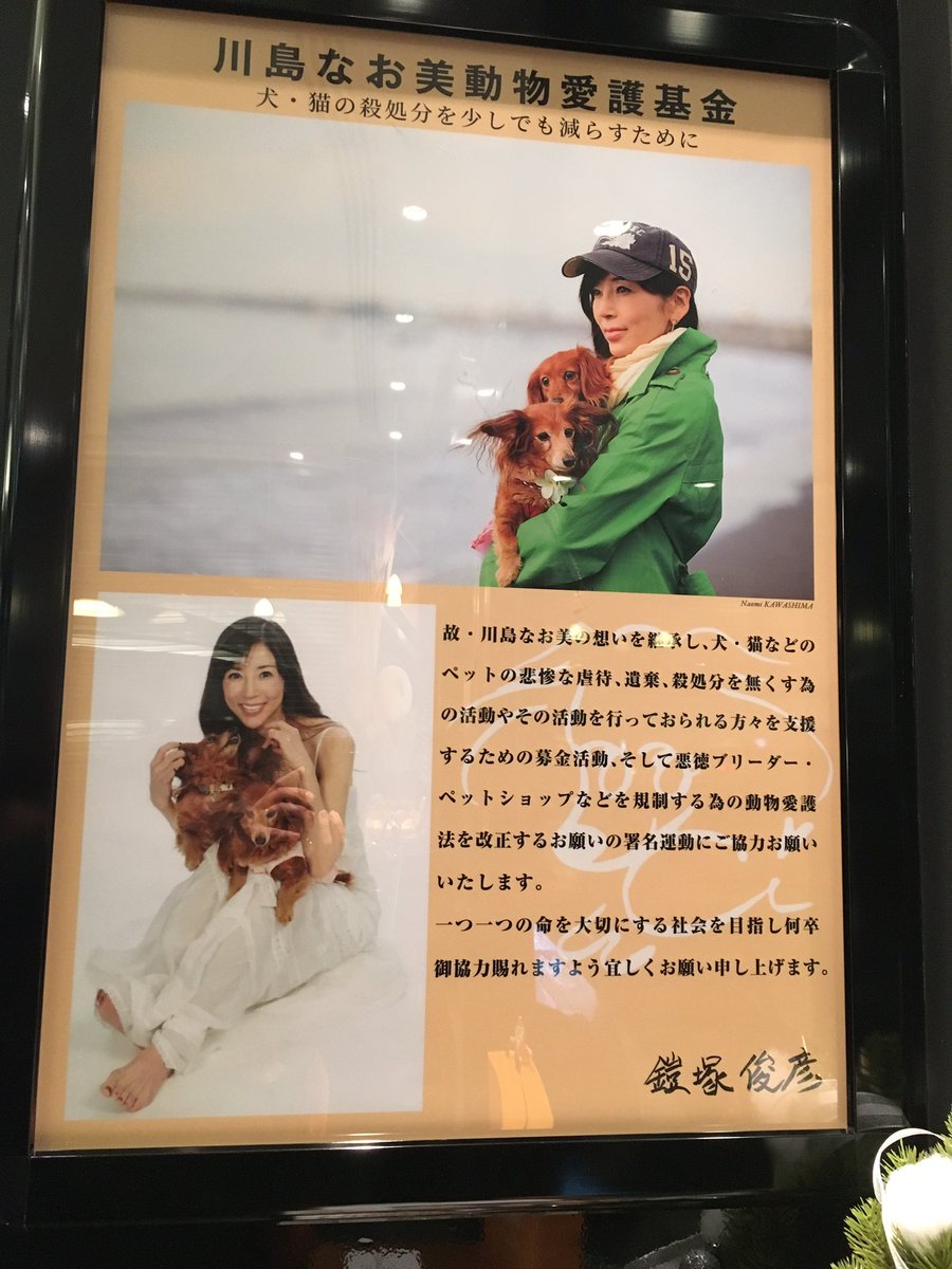 川島なお美動物愛護基金 川島なお美動物愛護基金
