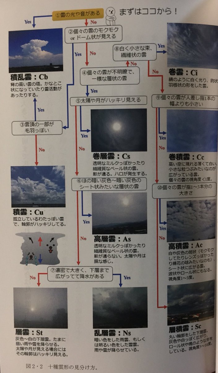 野乃歌 On Twitter 雲を愛する技術 は 大人だけでなく 小学生でも