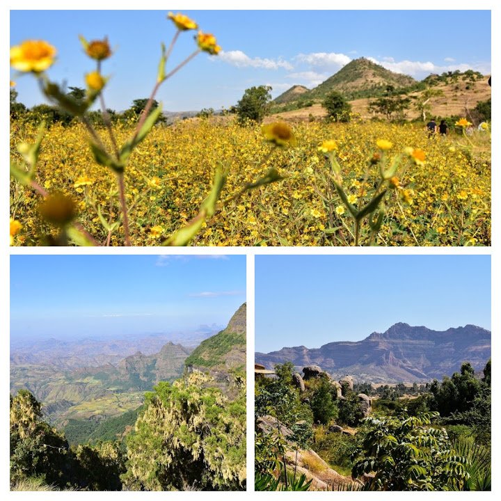 1234shadows's tweet photo. Shadows of Africa team enjoy in #awesome, #scenery #landscape of #Ethiopia- #lanscapeethiopia https://t.co/w4W0nJwHR9