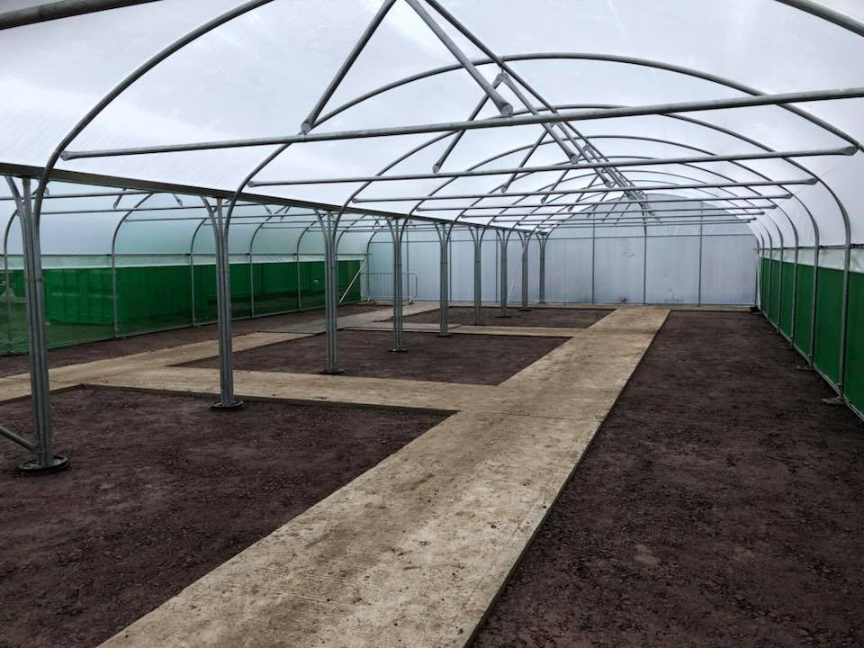 NatPolytunnels's tweet photo. 13m x 25m recently completed #Twinspan #Polytunnel with roll up ventilation and netting for @kewgardens https://t.co/DKbv07Y82P
