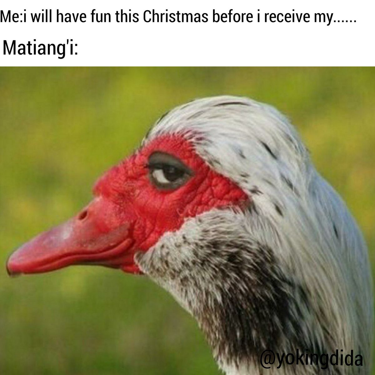 Benedict Dida🇰🇪 tweet media