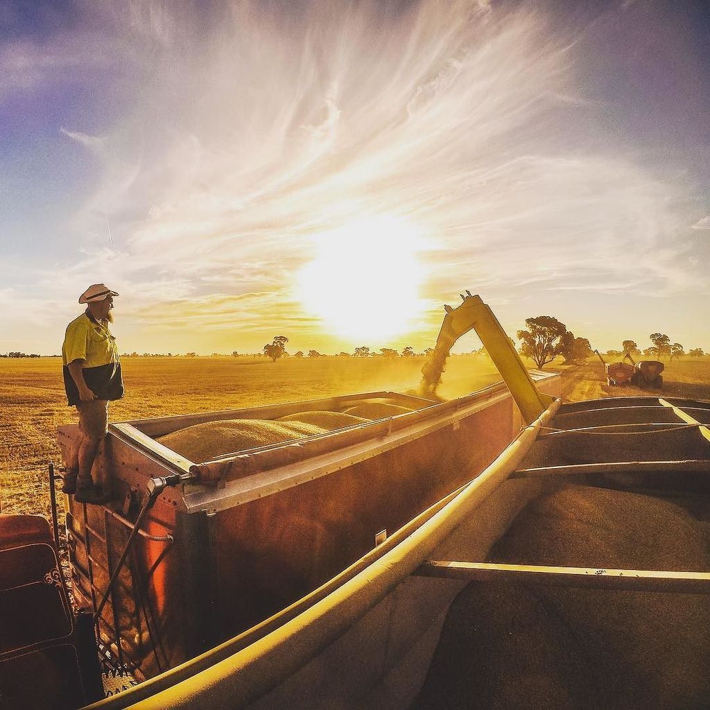 fareanddinkum's tweet photo. Toppin' up the grain train! #fareanddinkum #harvest17 #barlowag #aussietrucks #australianagriculture #outbackaustralia #harvest https://t.co/RAUzK579x4 https://t.co/uJrehnW3NZ https://t.co/QOlDqCzzqW