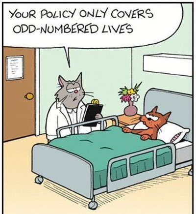 policyxcom's tweet image. Don't let life take a toll on you. Get your life insurance coverage today- policyx.com
#insuranceinindia #buylifeinsurance #terminsurance #compareinsurancepolicy