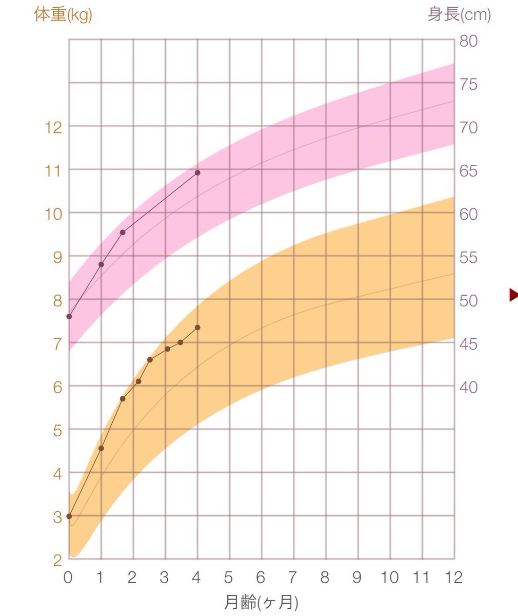 しぇたろ 娘ね 大きいっぽいなー とは思ってたけど 大きかったです 女の子なのにビックリだわ 同時期の息子より大きいんだもの 身長も体重も しえ美 成長曲線