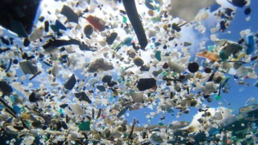 erealacci's tweet photo. Stop a #cottonfioc in plastica e #microplastiche è importante anche per creare una nuova economia che punta su #qualità e #innovazione l’Italia produce il 60% del make up mondiale #cosmesisostenibile @SkyTG24 https://t.co/uN2CpJwHuO