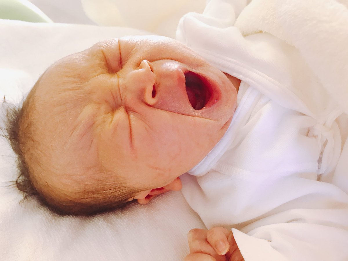 jbl_os's tweet photo. インスタにも書いたくせにまだ書きたい。
可愛い可愛い天使👼
12月19日に産まれてきてくれました💗💗 https://t.co/fZFkA9J2CD