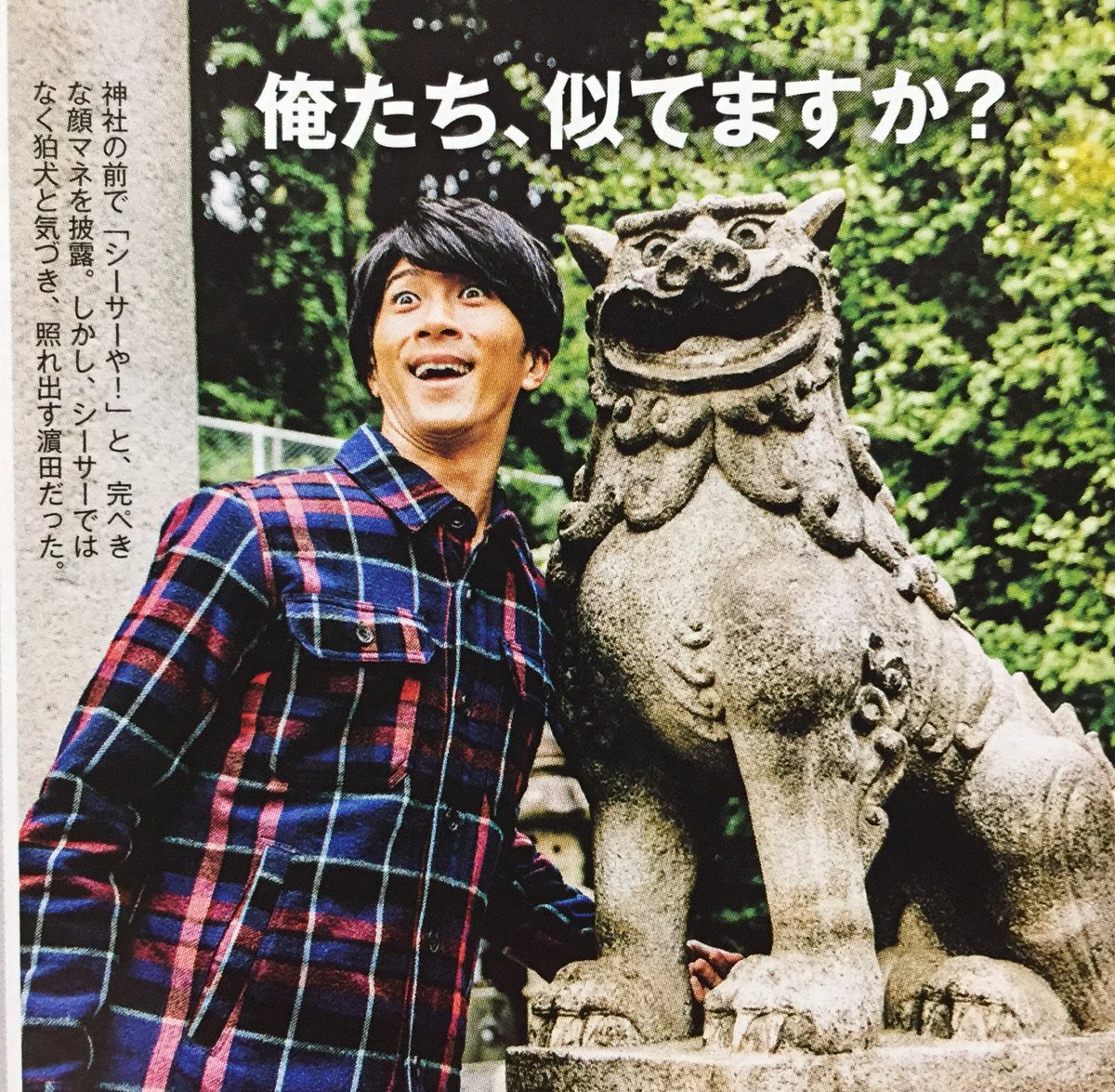 きのこ Twitterissa 神社の狛犬を見て シーサーや って顔マネをする濱田くん きのこ Twitterissa 神社の狛犬を見て シーサーや って顔マネをする濱田くん