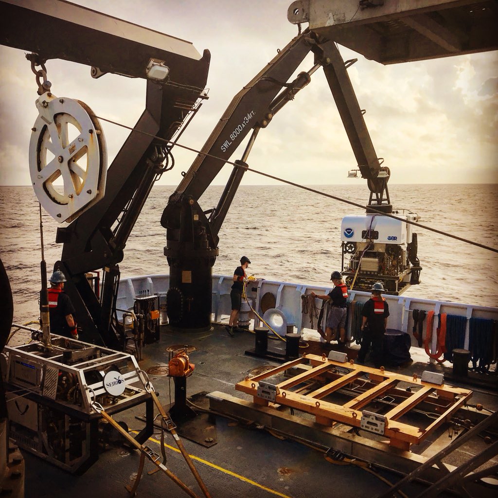 It’s #Okeanos last dive of the year, hope to see cool critters from the #deep ! #deepsearesearch #oceanexploration #ocean #ROVs #exploration #discovery #research #science #marinescience #nancyfosterscholars