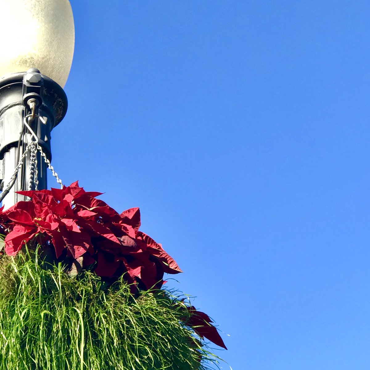 aconsalvo's tweet photo. Cerulean skies in #WinterPark. #ChristmasInWinterParkFl #RealEstate https://t.co/7lKDowJTpB