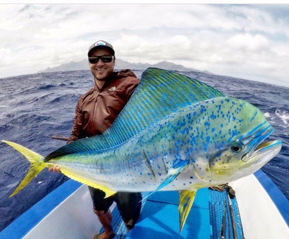 PalomarFishing's tweet image. A rough day at sea is better than any day in the office. Nice bull dolphin,  @fishing_rarotonga! 🌊 💯