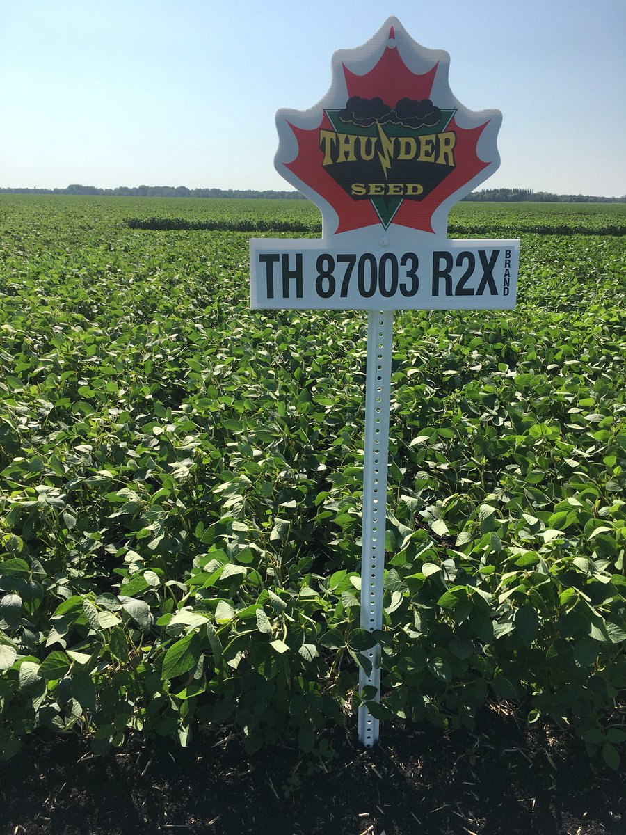 cndaggie's tweet photo. Looking for a soybean with great IDC score but don’t want to give up yield?  Check out @thunder_seed TH87003R2X. 108% check in provincial trials, 1.7 IDC. https://t.co/yGTbW8lHDr