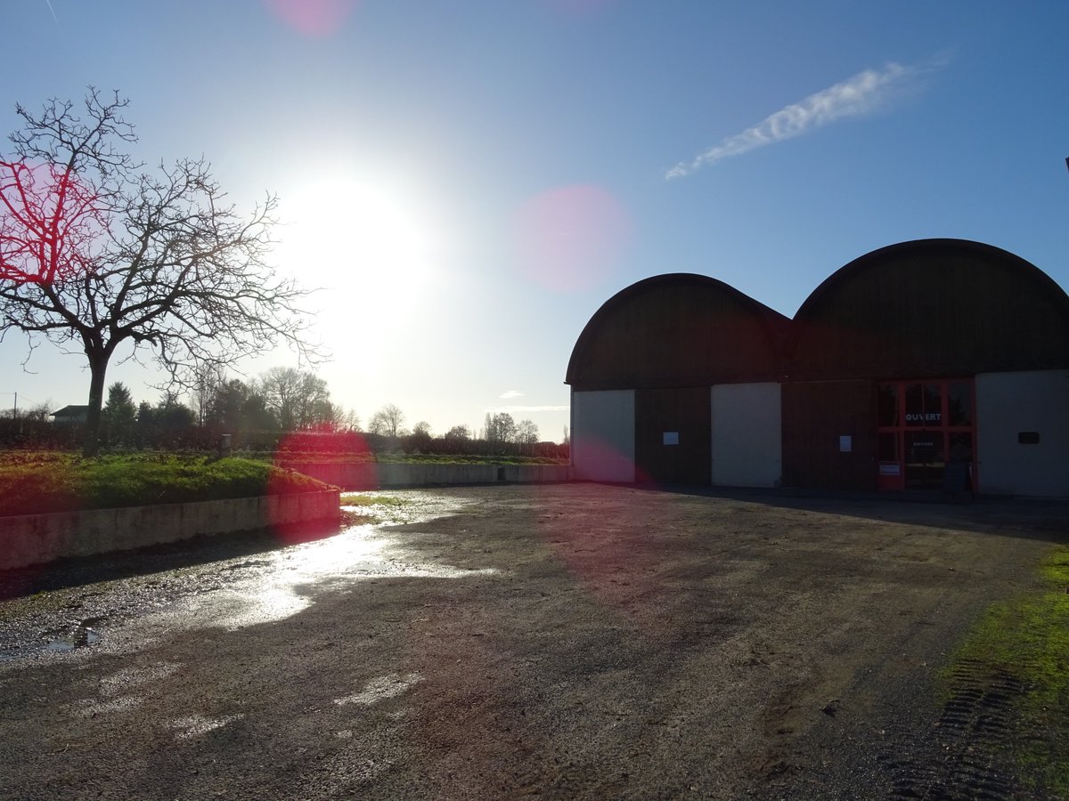 Journée ensoleillée à la boutique de Cussac ☀️