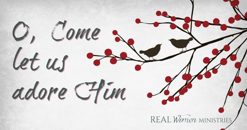RealWomenMin's tweet photo. 3 Ways to Slow the Christmas Rush - I needed this reminder to slow my pace and re-focus during this busy week before #Christmas 
https://t.co/BFD45UbDAL https://t.co/KYjveAZt2m