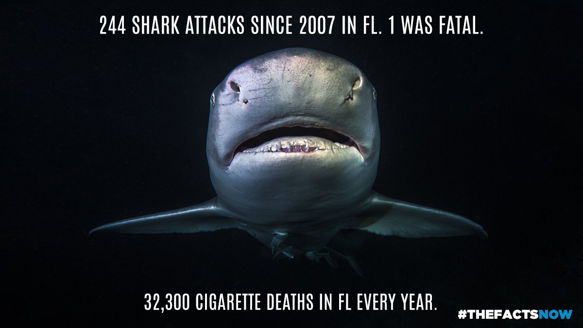 thefactsnow's tweet photo. Jaws dropping facts. https://t.co/wdyoR0QJPC