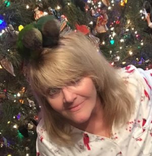 Donna Gentry Morton tweet media