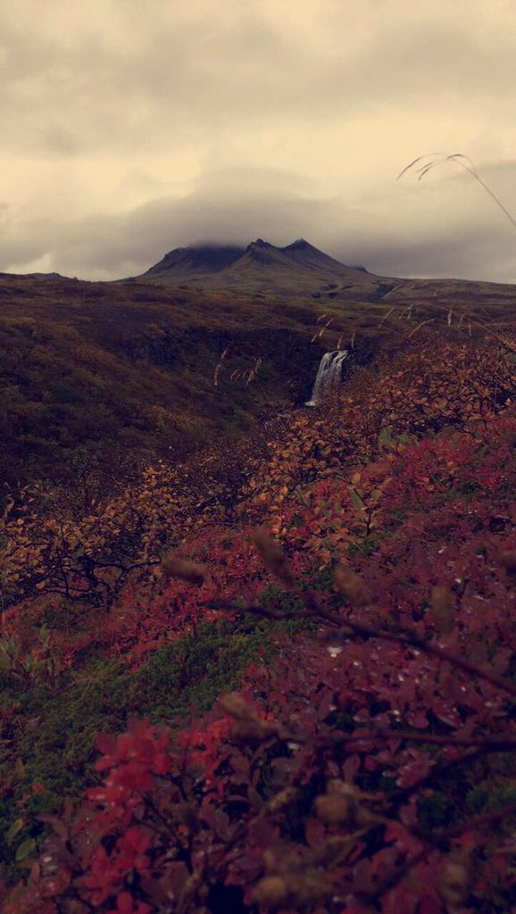 AlMhal's tweet photo. #ايسلندا @IcelandAr 
 #اجمل_سفره_سافرتها 😻😻 https://t.co/xeE7o0VvhJ