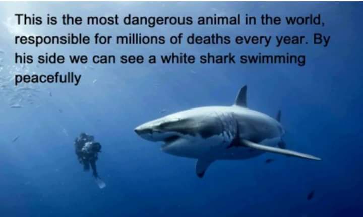 Icelock0069's tweet photo. This is so old . But yet so true !!!!! https://t.co/yeZUYA0In6