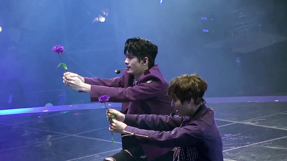 daystar_990529's tweet photo. 성우 직캠 보는데 옆에 지훈이 꽃 꺾여서 수작업으로 세움ㅋㅋㅋㅋㅋㅋㅋ 약간 그거야 하늘이 돕는 씹덕 https://t.co/rBEunRij5f