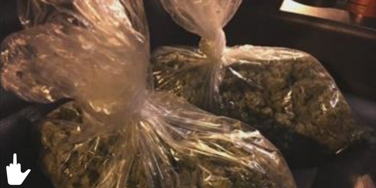 funkyblunt's tweet photo. 2 Arrested After Offering A Colorado Sheriff Weed For A Car! https://t.co/PQUDquL7Aa #stonerfail #bluntnation #funkyblunt #marijuanalegal #marijuanawomen #marijuanalife #weedsmoke #weedchild #weednation #ganja #ganjaman #jointhecrew #jointhehunt #stoners #stonerhumor #underground https://t.co/JxJEFbOHF9