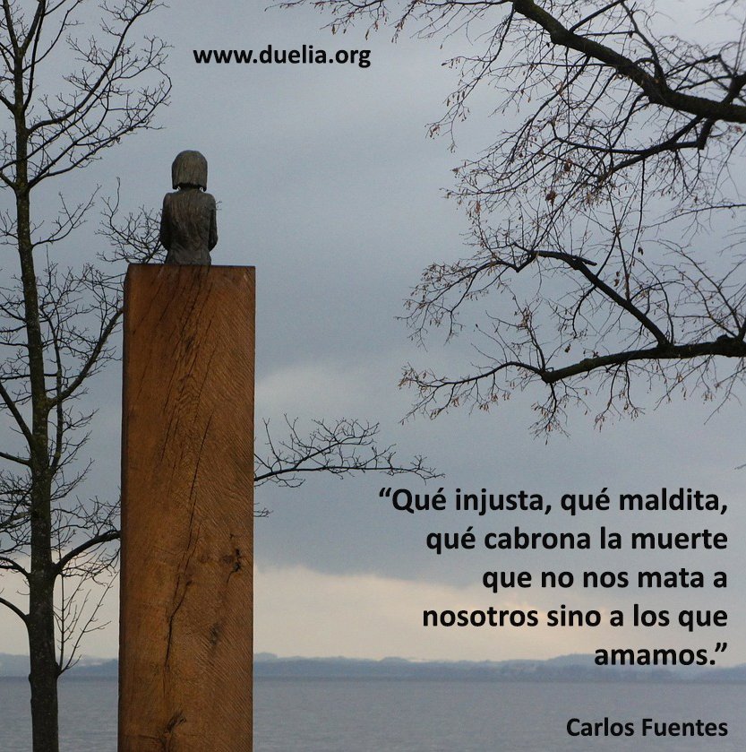 redduelia's tweet photo. "Qué injusta, qué maldita, qué cabrona la muerte que no nos mata a nosotros sino  a los que amamos" #duelo #perdida #muerte https://t.co/yiec2f3Yic