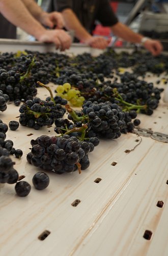 For subscribers, my 2016 red burgundy report with 50 visit reports and 650 wines and more is now online: burgundy-report.com/burgundy-repor…
And if you’re undecided about subscribing – here is my report on the 2014 Reds:
burgundy-report.com/burgundy-repor…