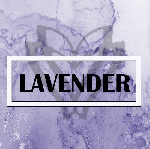 lavender_server's tweet photo. #ديسكورد || #Discord 
-
��ربمآ الصدف تجمع اثنين احباب 🕊'
والصدف شيء جميل دامها بتجيبك 🙁💜
تعال وسمعنآ صوتك الجميل 🥂
-
الرابط ضغطتين بس وانت بحضني 🙁😂💕
-
https://t.co/MVAdxeAbaL
' https://t.co/e1CHtIN51e