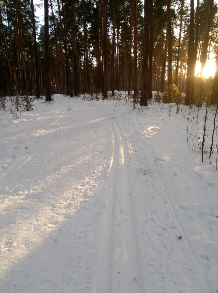 Максим Коваленко (@maks_kov) | Twitter