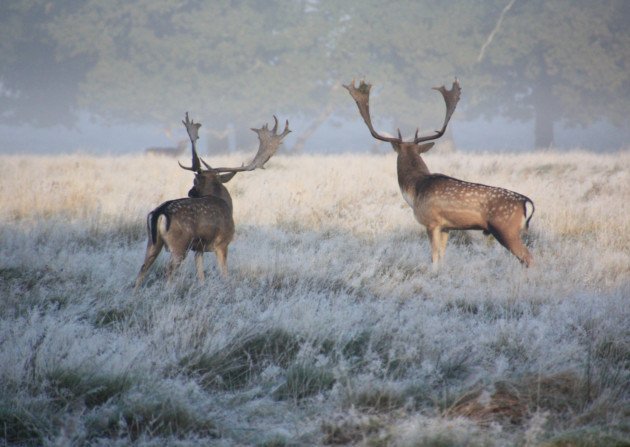 Fancy a stroll in the crisp winter air this #Christmas? 

We've rounded up our favourite #Sussex winter walks 👉 bit.ly/2xlX4HJ