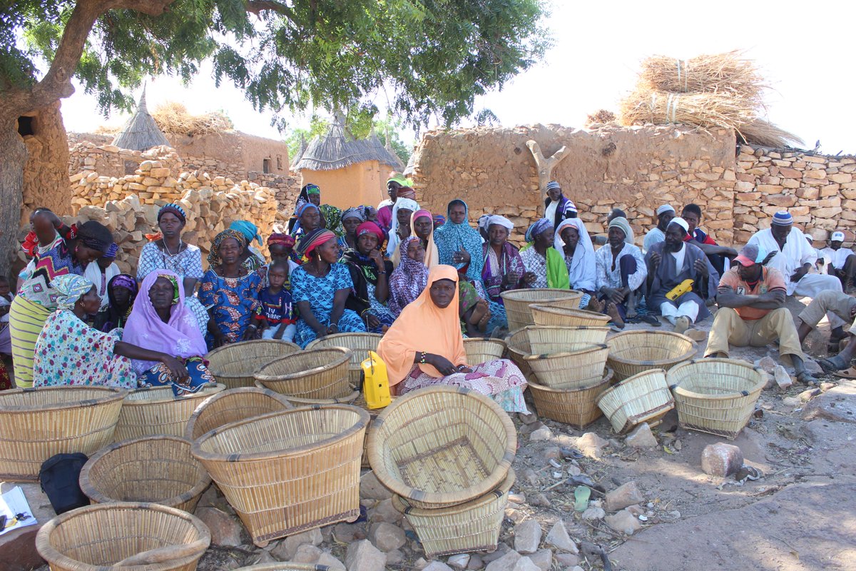#ALIRE : bit.ly/2z4WYQM
Renforcer la coopération sud-sud au #Sahel à travers l’approche des clubs Dimitra de la #UNFAO : le #Mali et le #Niger enrichissent leurs expériences sur l’autonomisation des populations rurales.
#ClubsDimitra
#Afrique
#ZeroHunger
#foodsecurity