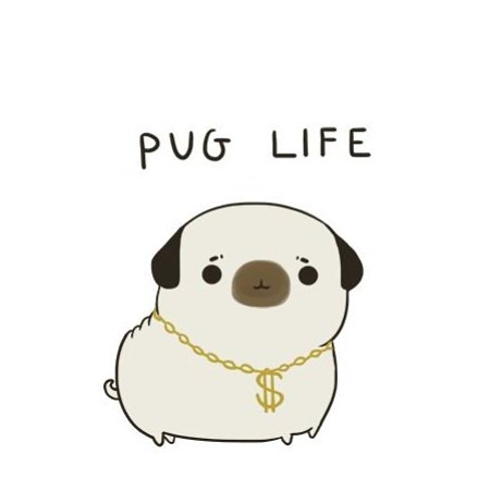 PocketsModa's tweet photo. Buy hoodies, feed cats &amp; dogs ! Whenever anyone buys from us we contribute part of our profits to Animal Welfare.
 #dog #dogs #puppy #pup #cute #eyes #instagood #dogs_of_instagram #pet #pets #animal #AnimalSpirits https://t.co/FStI4Fqh4Q