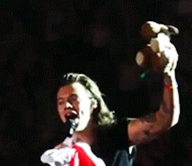 1DNourryam's tweet photo. THIS MOOSE, ON THIS FLAG, ON YOU, ON SYRUP, ON POUTINE!!!
#WeAreAllHarry https://t.co/epuEuBbqvQ
