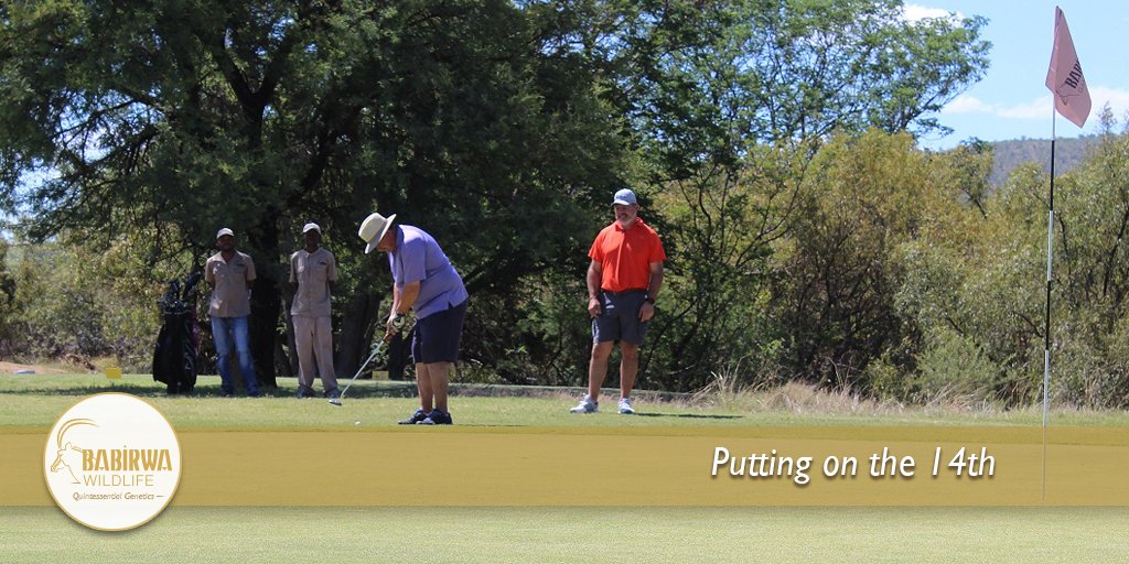 babirwawildlife's tweet photo. Enjoying some golf at Babirwa Wildlife! We all need a little down time sometimes...
#BabirwaWildlife #WildlifeLegacy #GameBreeding https://t.co/XJKg0INp0K