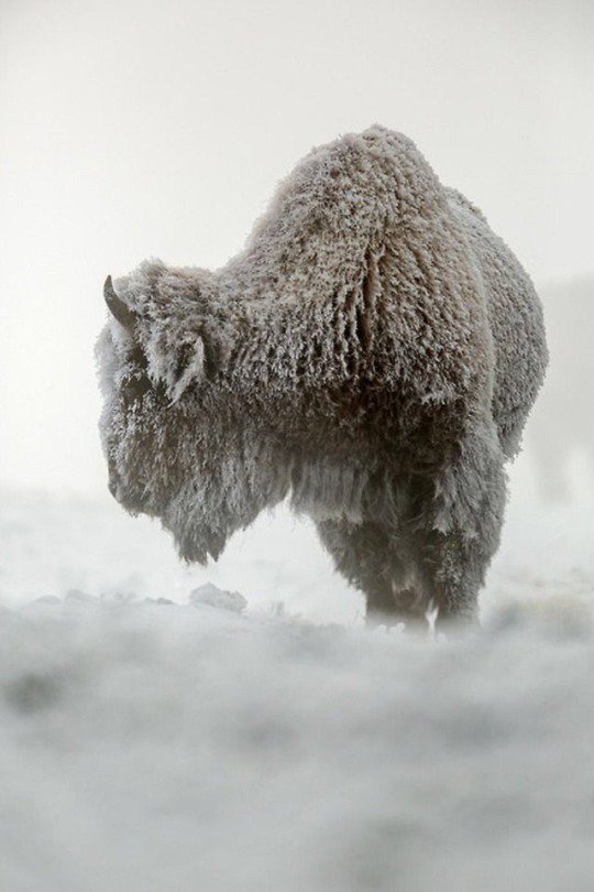 MotherEarthMag's tweet photo. Photo of the day https://t.co/5hjO3TeL23