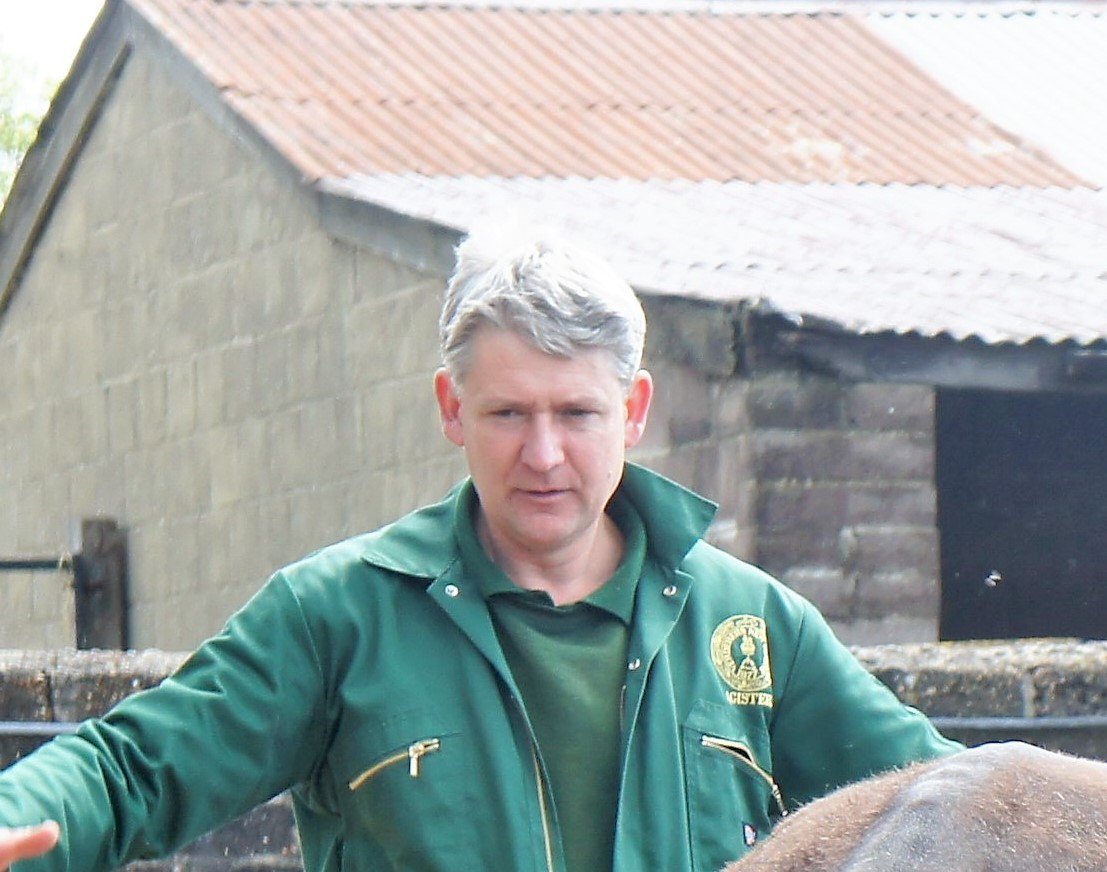 Top #NewForest agister urges drivers to report animal accidents

More in your 50p A&amp;T on sale now